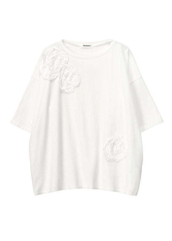 220608_PL23JK057_01_L