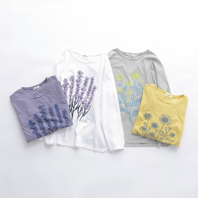 バナー:ハーブT