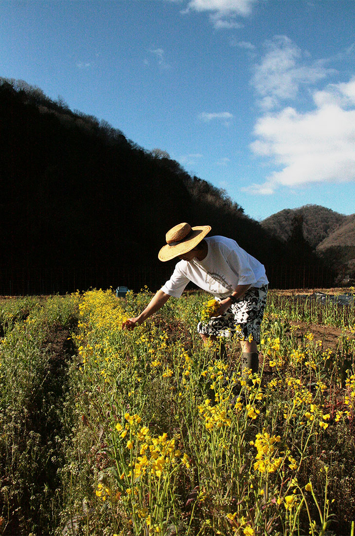モデル着用イメージ