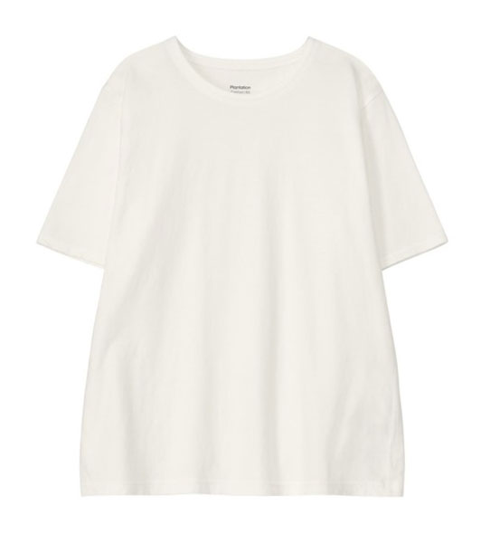 商品写真:アンディコットン /Tシャツ