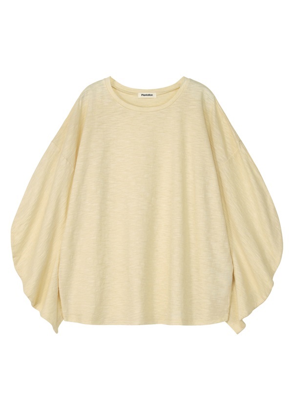 商品写真:【 カットソー】 シェイプT/off white